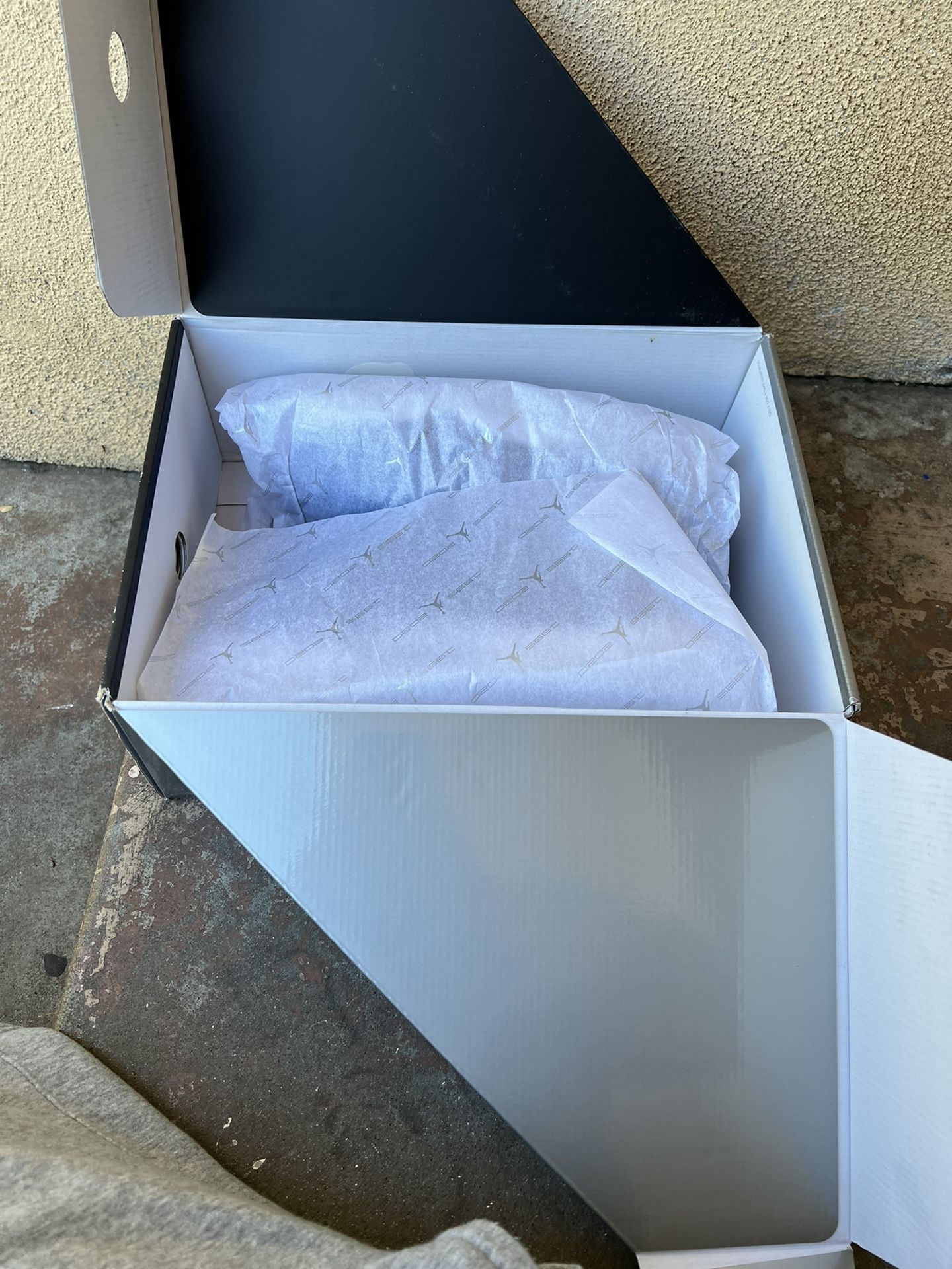 Jordan 11 Jubilees (Brand New)