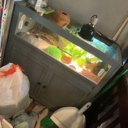 Leopard Gecko Tank. With Leopard Gecko Included.