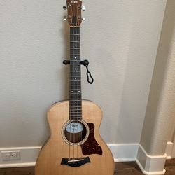 Taylor gs-Mini Bass
