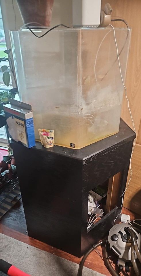 55 Gallon Hexagon Tank With Stand