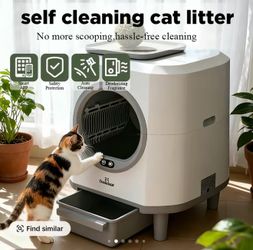 Automatic litter box