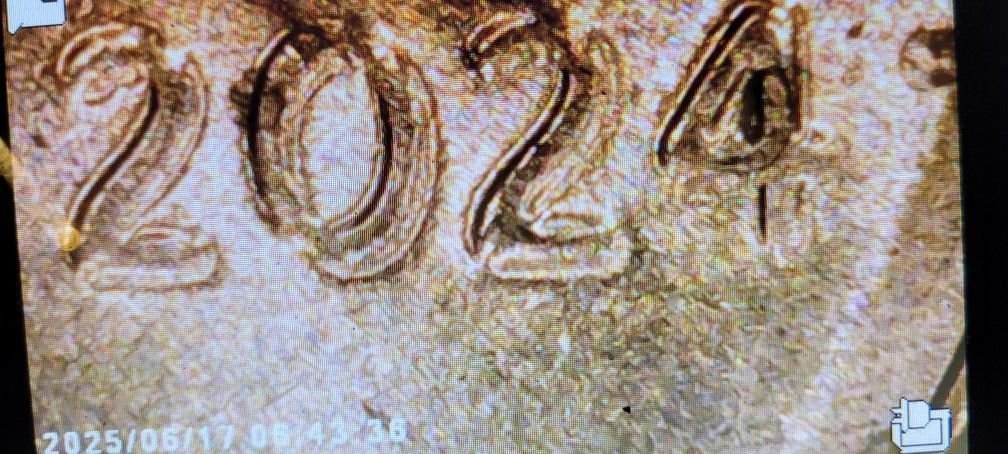 2024 Lincoln Shield Penny Error Coin Doubling Obverse And Reverse Date Letters