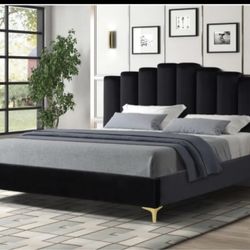 Queen Size Bed Frame Only