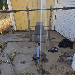 Bench Press With Bar And Weights