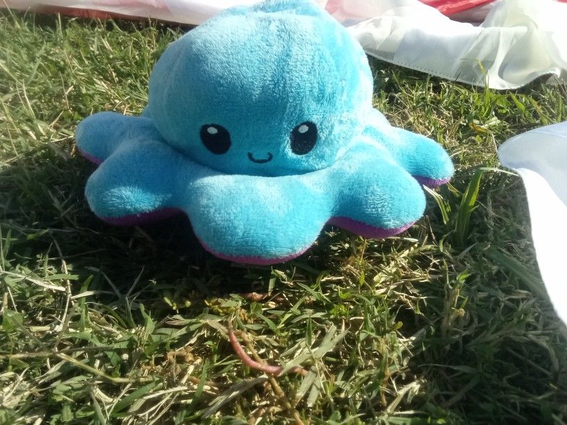 Plushies ,Beanie Babies, Books