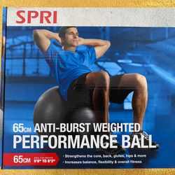 Sealed Brand New SPRI- 65cm Anti Burst Performance Ball