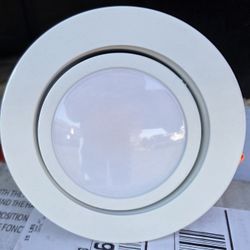 (12) 4 INCH LED RECESSED LIGHTS