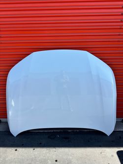 2023 -2024 -2025 Honda Accord Hood Bonnet Shell Panel OEM
