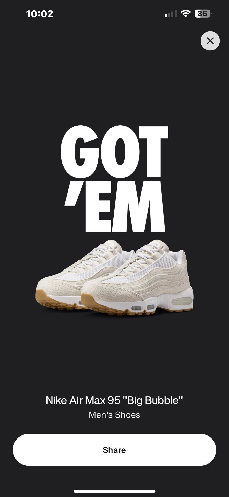 Levi X Nike Airmax 95