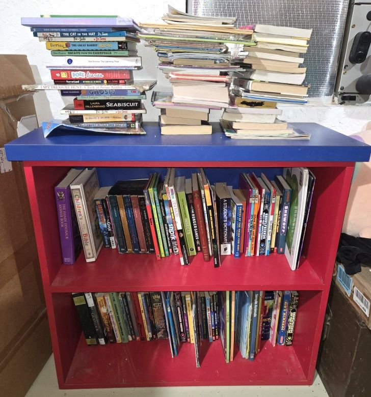 Kids Bookshelf With TONS Of Books