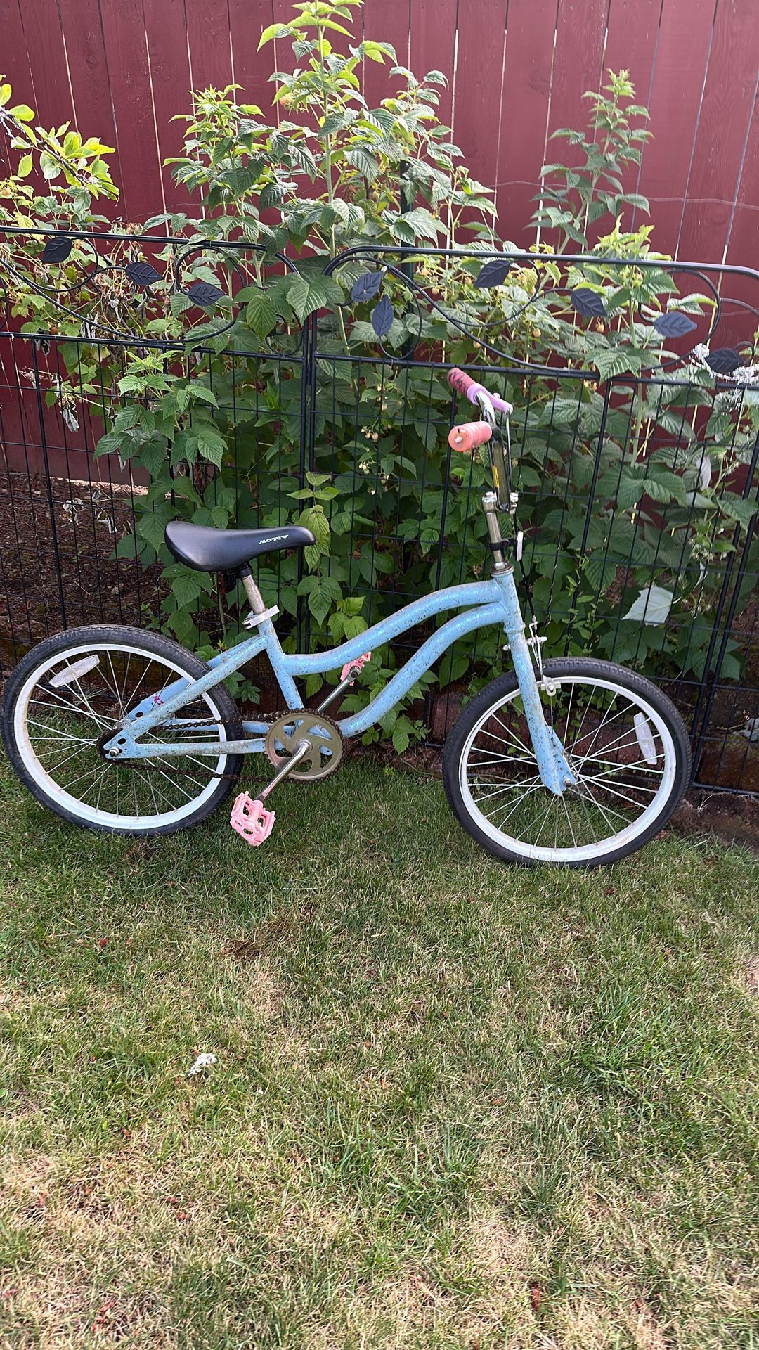 Girls Bike Wheels On 20’