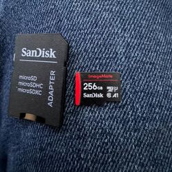 Sandisk 256GB MicroSD Card 