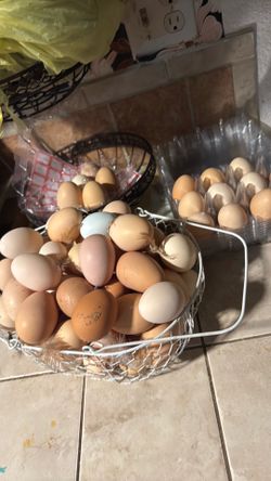 Fresh eggs