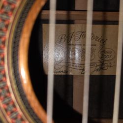 Bj Tortorici Guitar