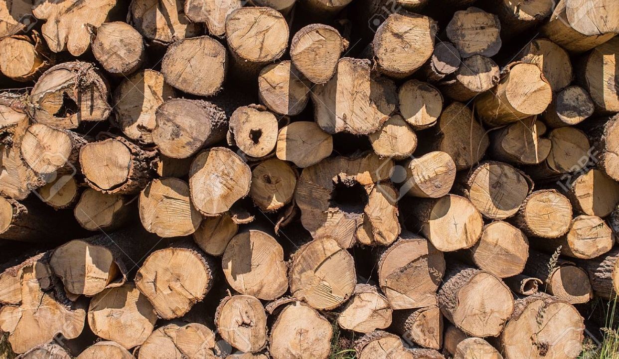 Free firewood