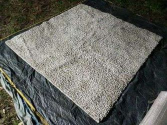 BEAUTIFUL DEEP CLEANED AREA RUG!!!