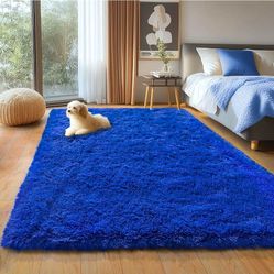 Shaggy Area Rug