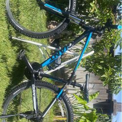 Cruisers And Mountain Bikes (Hit Me Up With Offers!)