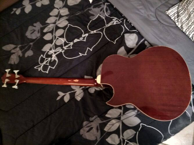 Windaroo Bass Guitar (acoustic/electric)