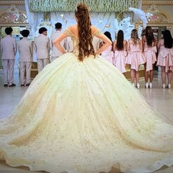 ❤️❤️Beautiful Princess Quinceañera Dress👸❤️❤️