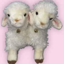 Two Headed Sheep