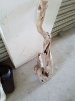 Rare piece of wood from Vista California