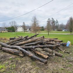 FREE Firewood Logs.  You Load And Haul.  