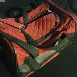 Carrying Case