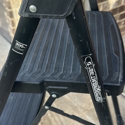 ESCALERA GORILA 300 LBS $60