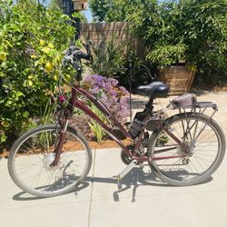 Electric Bicycle