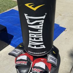 Everlast Punching Bag and Gloves