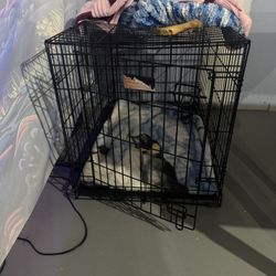 Medium Dog Crate 