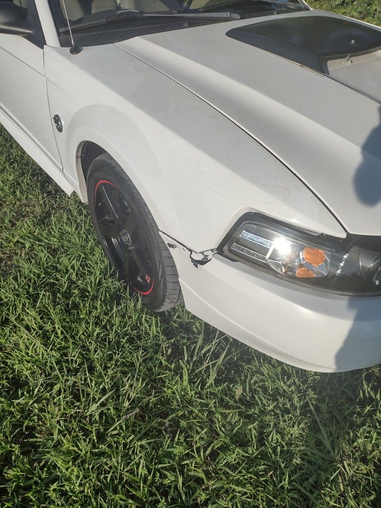 2004 Ford Mustang