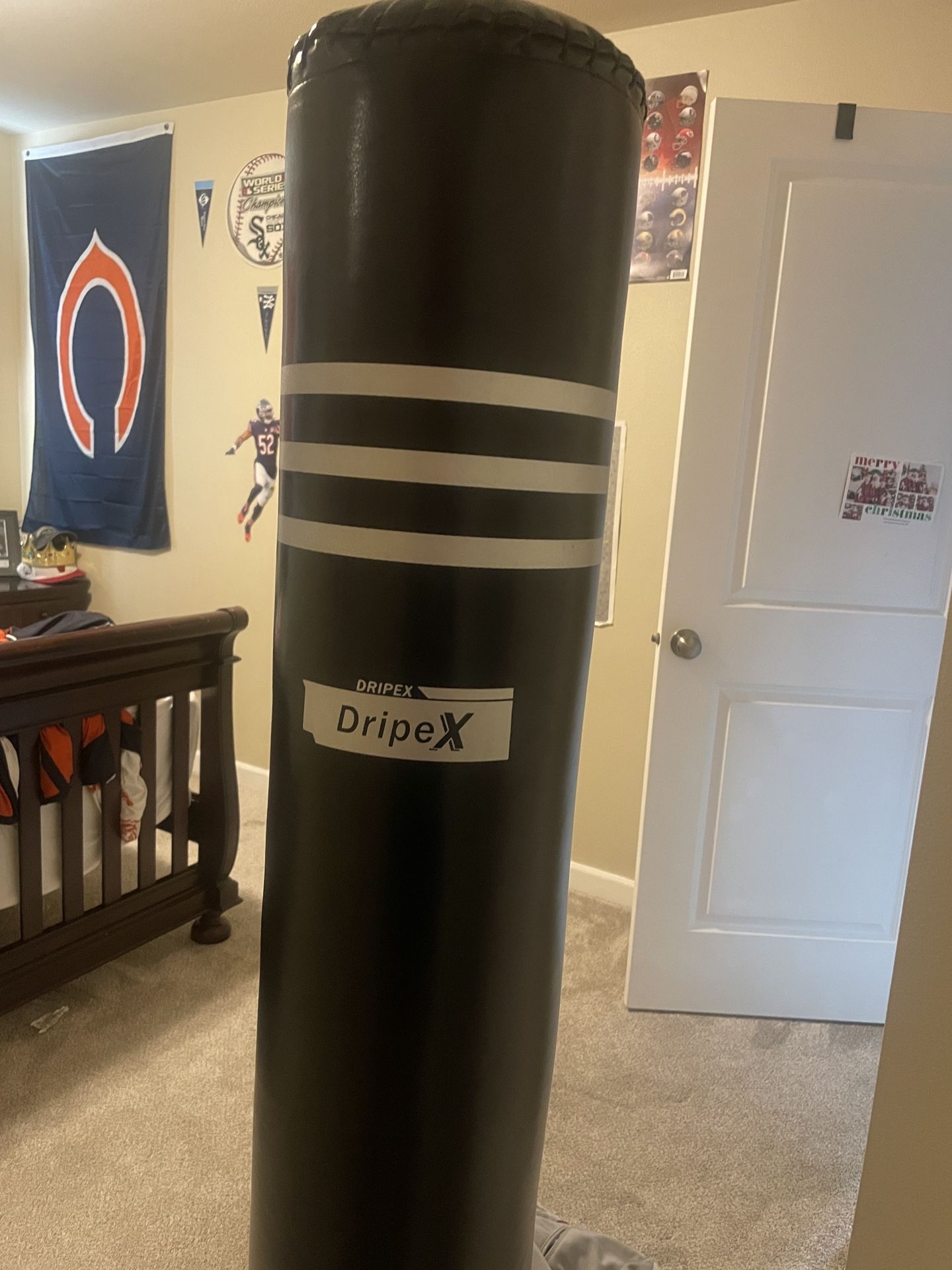 Stand Up Punching Bag