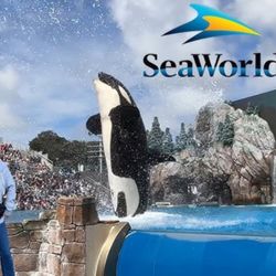 Seaworld San Diego 