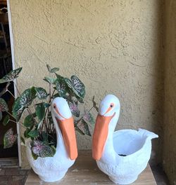 Cement Pelican pot