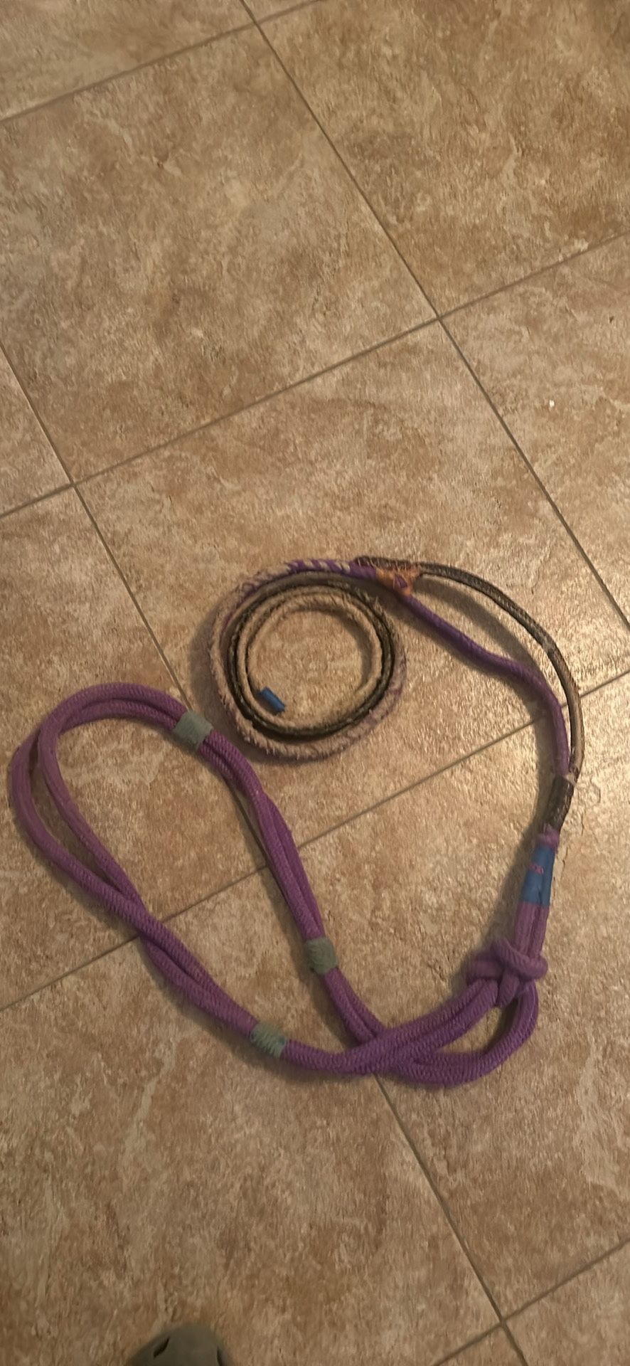 Bull rope