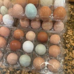 Fresh Organic Fed Free Range Chicken And Quail Eggs