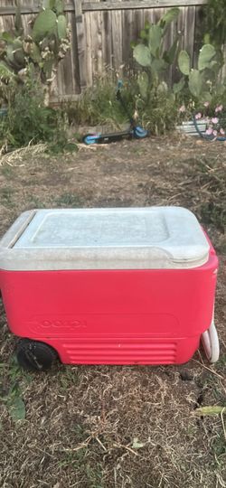 Cooler
