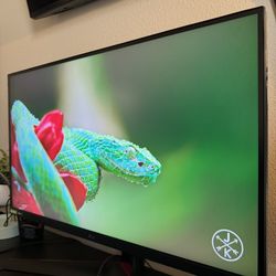 LG UltraGear Monitor