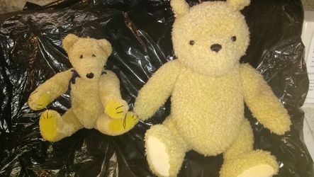 2 nice teddy bears
