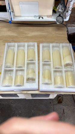 Hurricane glasses with candles (used once)