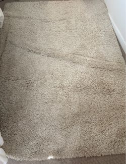 Beige Shag Area Rug