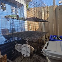 Bird cages and dog cage