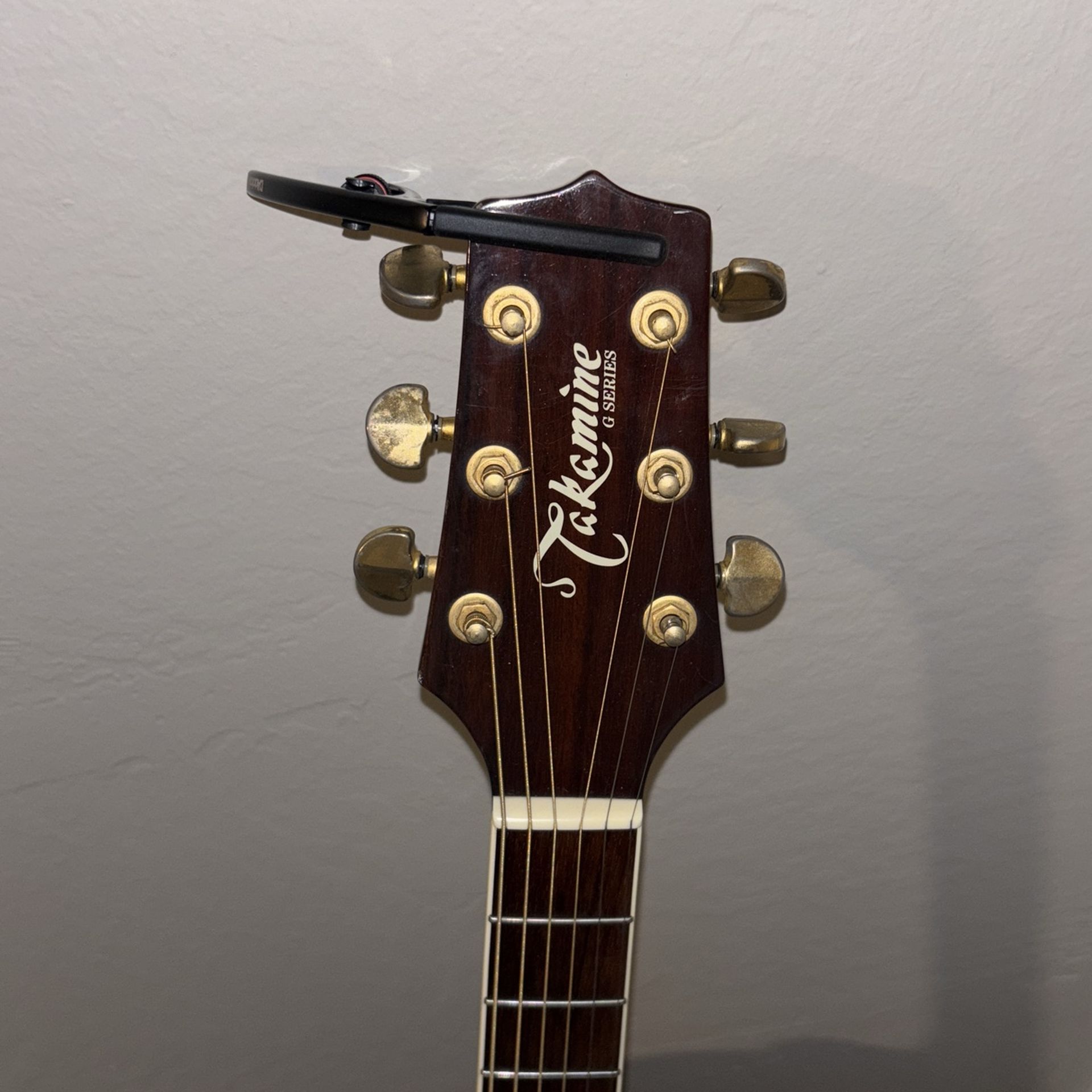 Takamine G Series