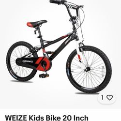 Boy And Girl Bike 
