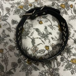 Dog Collar