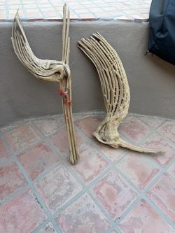 Two outdoor/indoor skeleton cactus decor