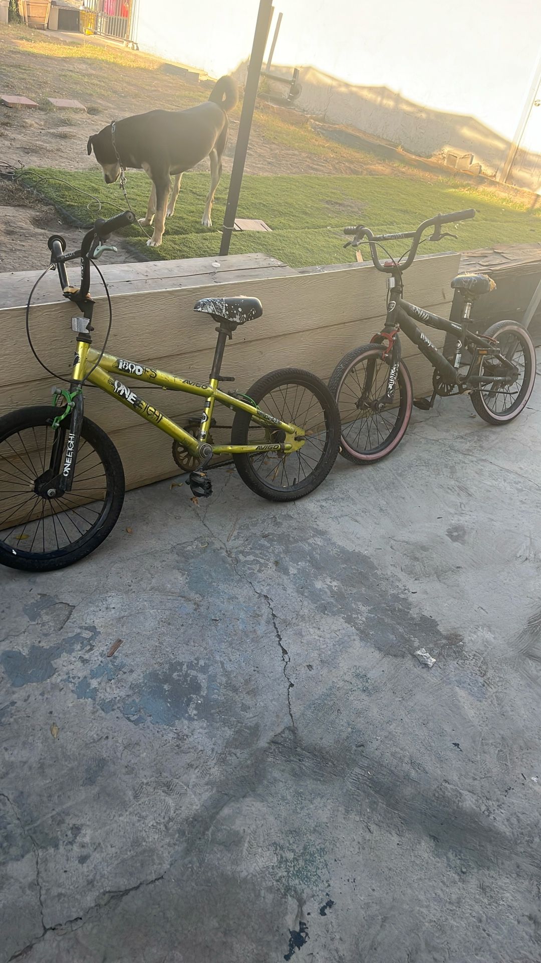 Bikes 