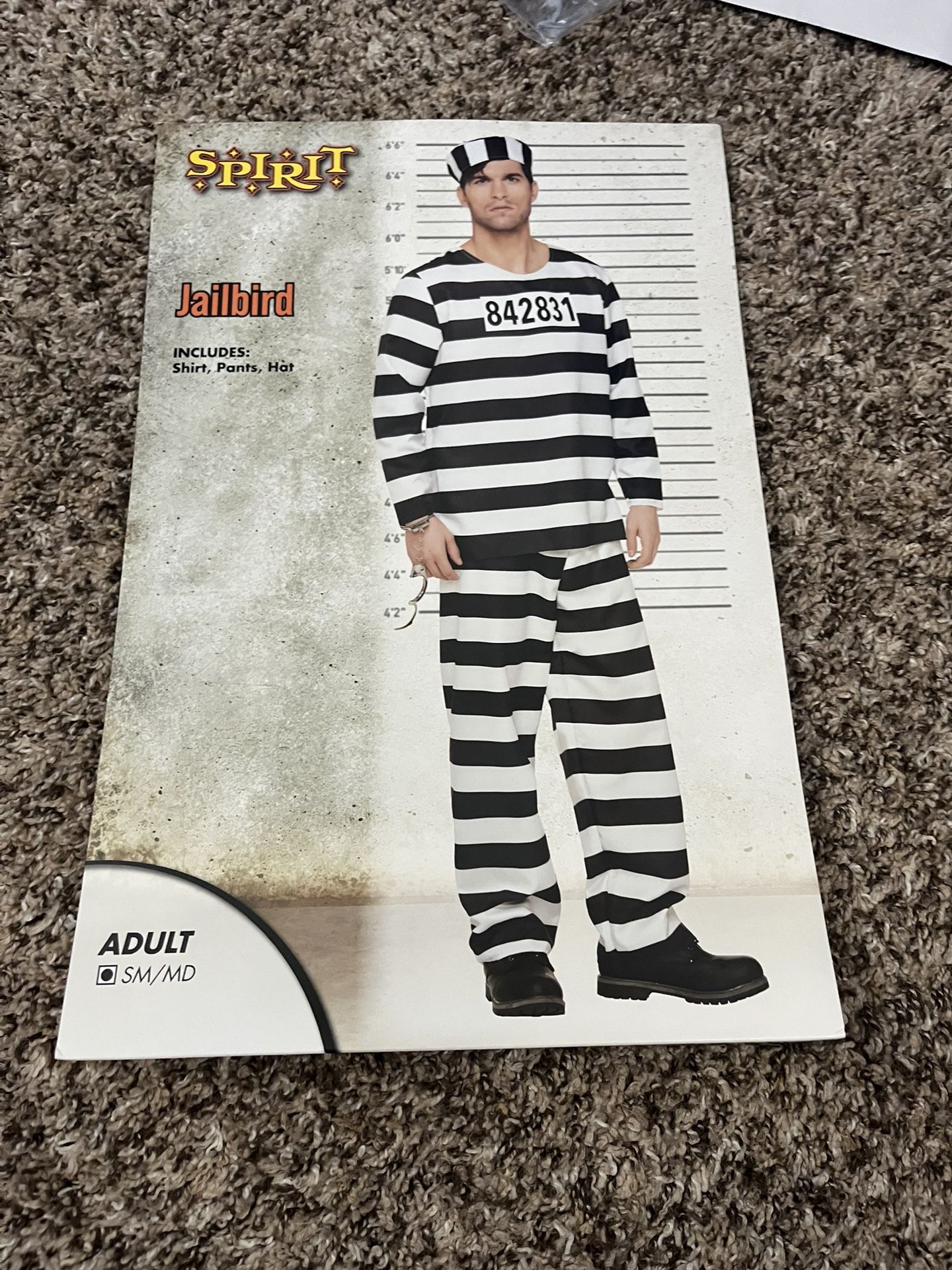 Jailbird Costume